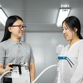 discussing in the meeting